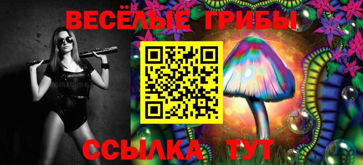 Псилоцибиновые грибы Cubensis Кызыл