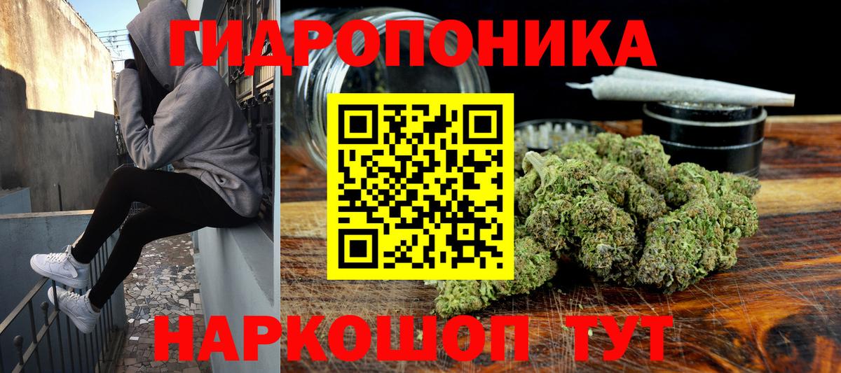 Бошки Шишки тримм  Бошки марихуана сатива  Кызыл  Вход с VPN  Конопля сатива 